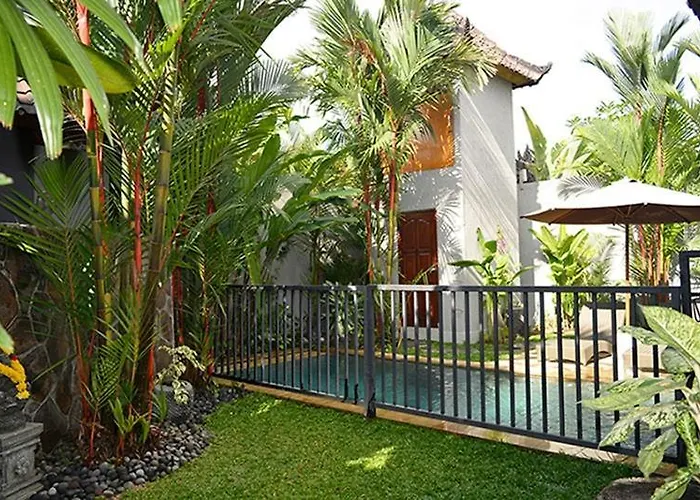 Palm Kuning *